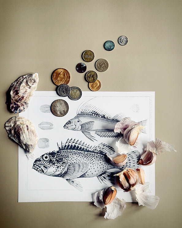 Coined Fish