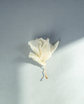 Single Orchid